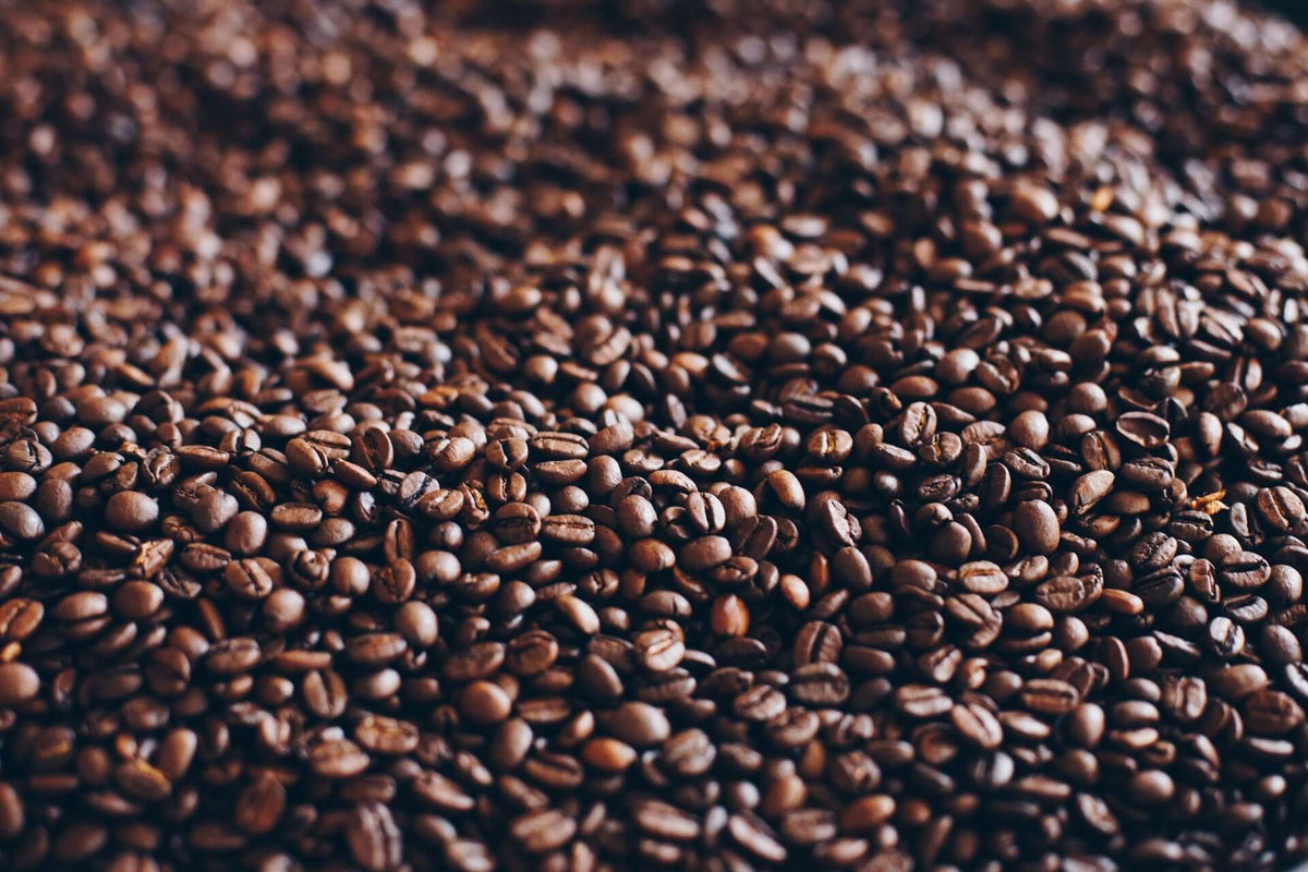 Can You Vacuum Seal Coffee Beans? Seven Mountains Coffee